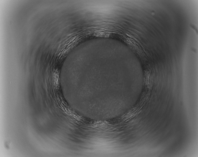 X0000100361154200806201558