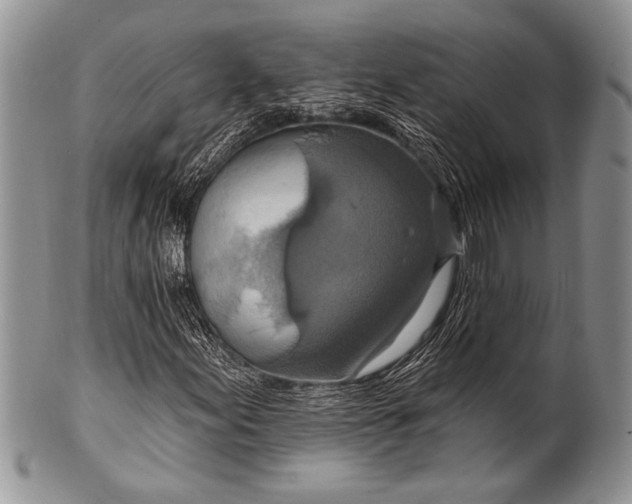 X0000100361155200806201558