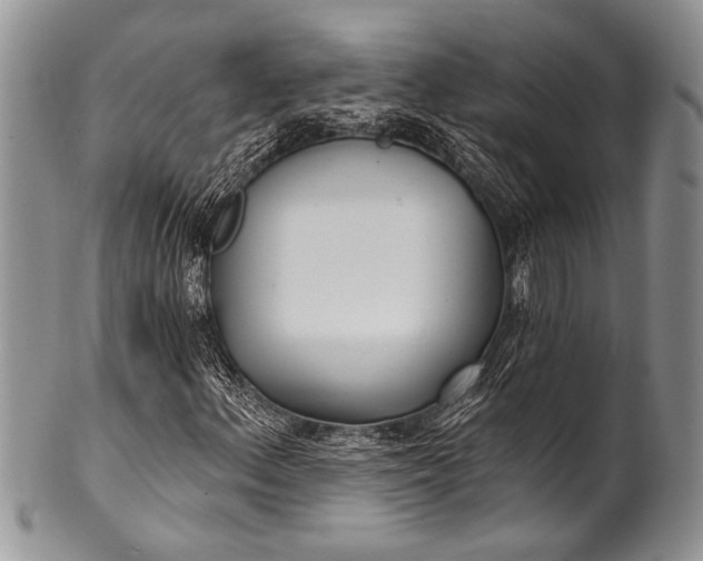 X0000100361156200806201558