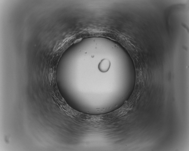 X0000100361157200806201558