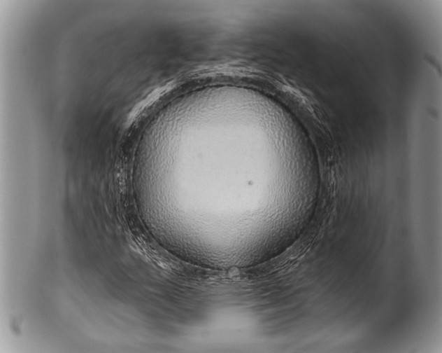 X0000100361159200806201558