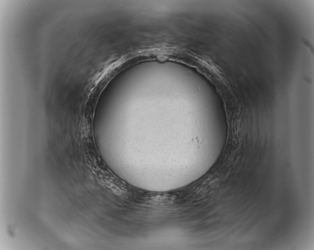 X0000100361160200806201558