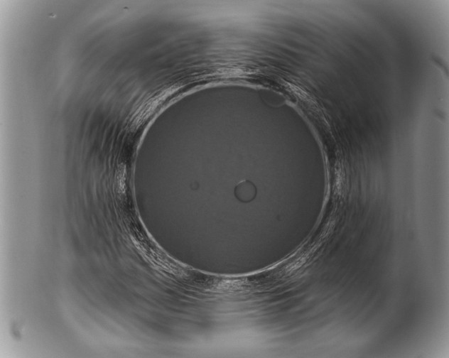 X0000100361161200806201558