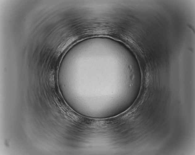 X0000100361162200806201558