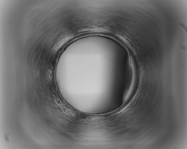 X0000100361163200806201558