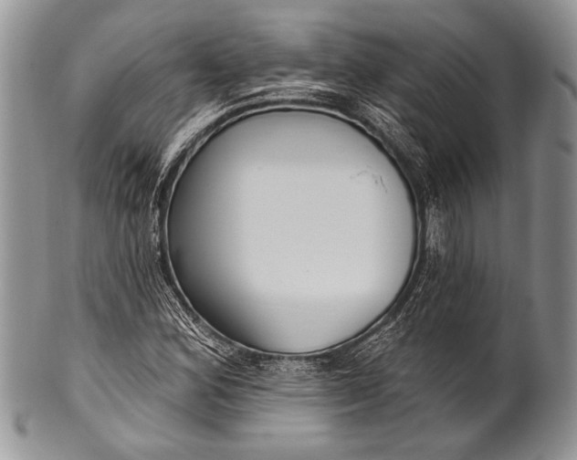 X0000100361164200806201558