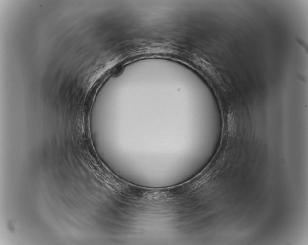 X0000100361165200806201558