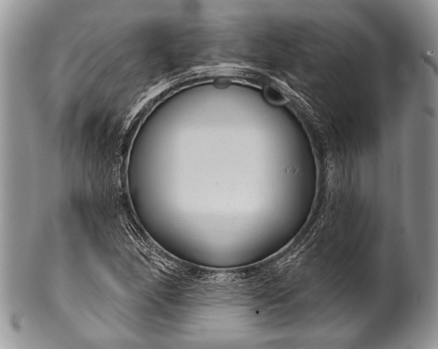 X0000100361166200806201558