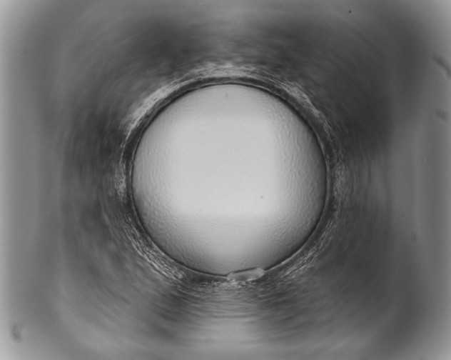 X0000100361167200806201558