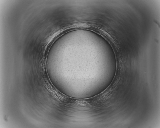 X0000100361168200806201558