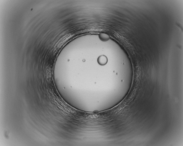 X0000100361169200806201558