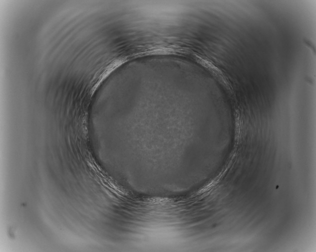 X0000100361170200806201558