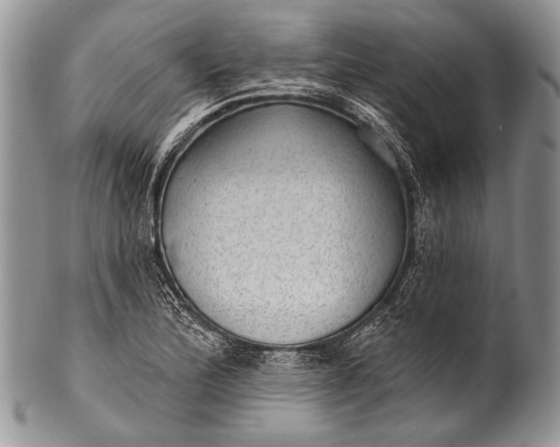 X0000100361172200806201557