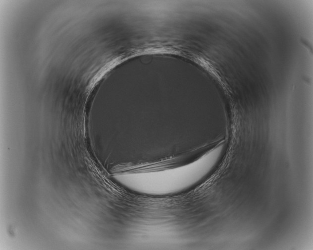 X0000100361173200806201557