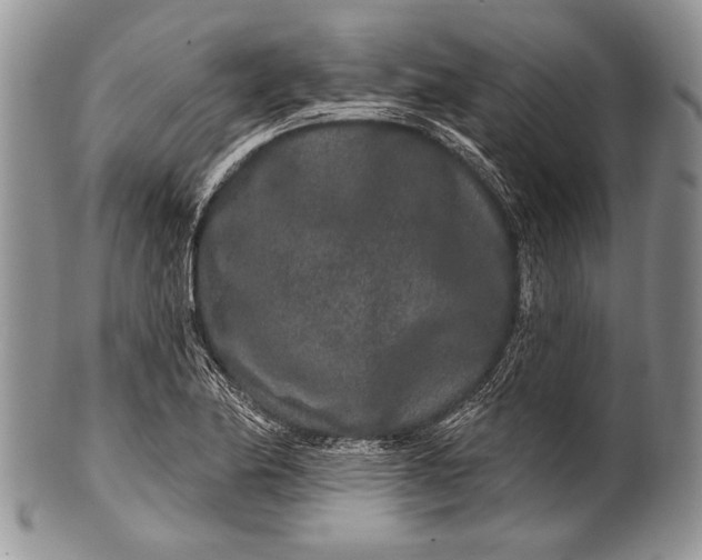 X0000100361174200806201557