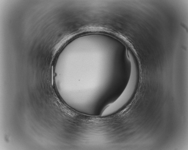 X0000100361175200806201557