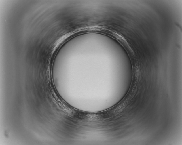 X0000100361176200806201557