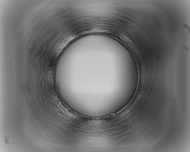 X0000100361177200806201557