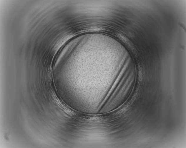 X0000100361178200806201557