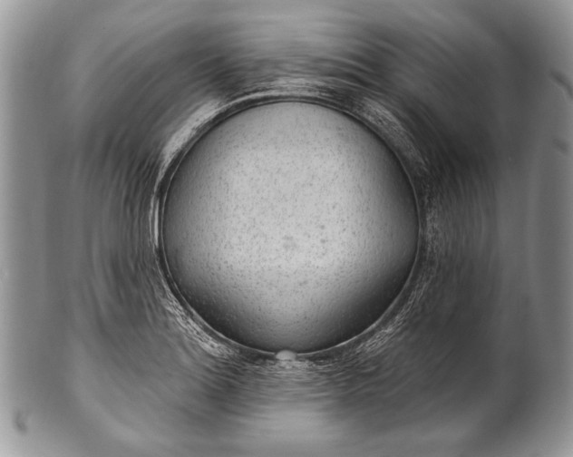 X0000100361180200806201557