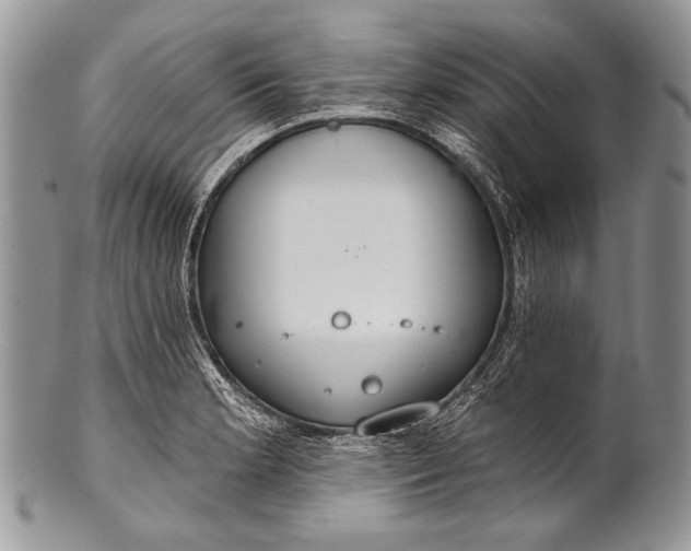 X0000100361181200806201557