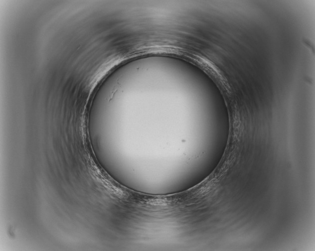 X0000100361182200806201557