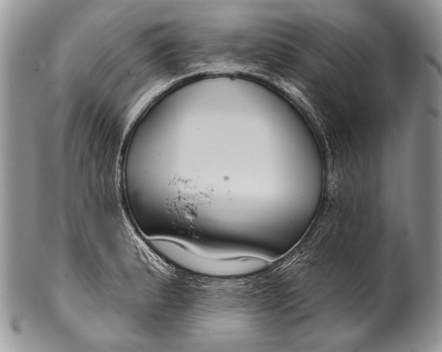 X0000100361183200806201557