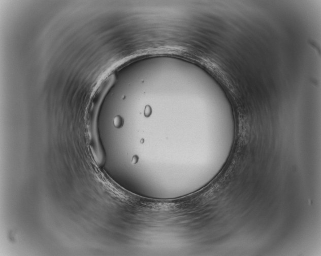 X0000100361184200806201557