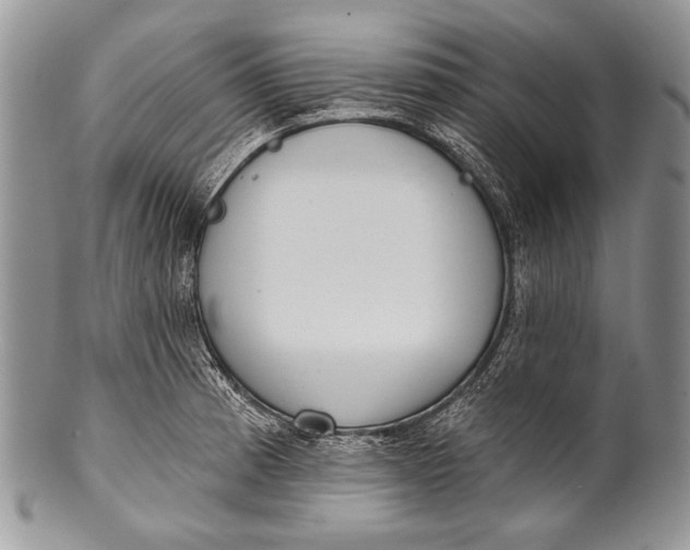 X0000100361185200806201557