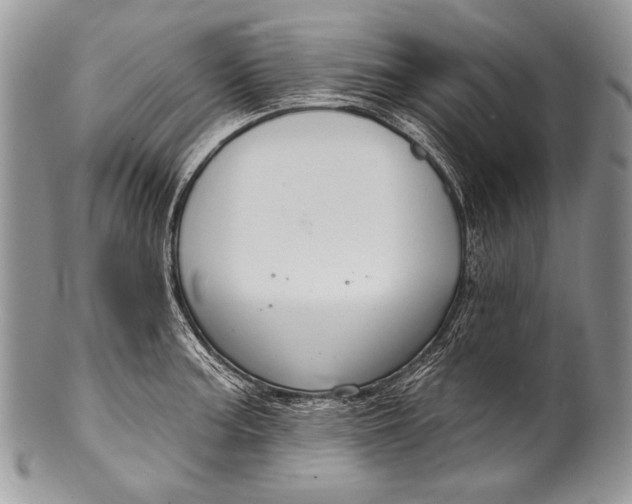 X0000100361187200806201557