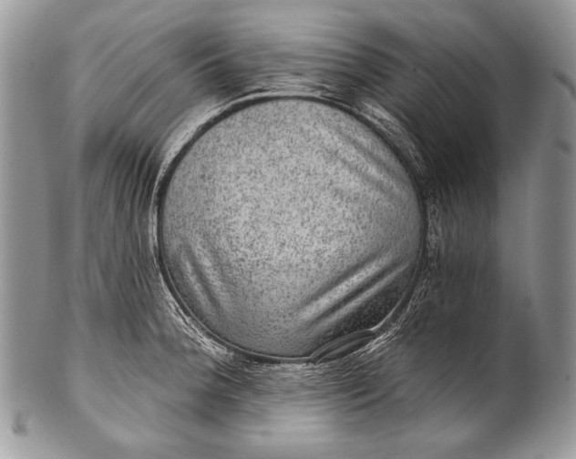 X0000100361188200806201557