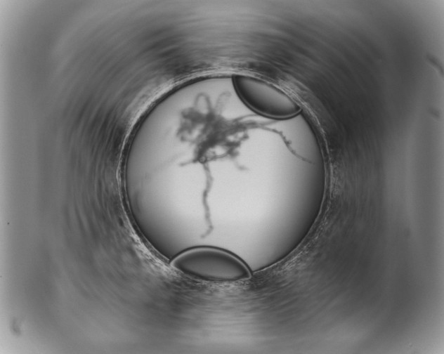 X0000100361189200806201557