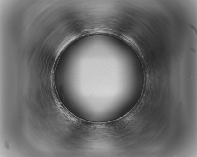 X0000100361190200806201557