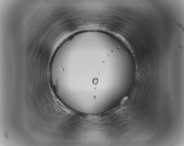 X0000100361191200806201557