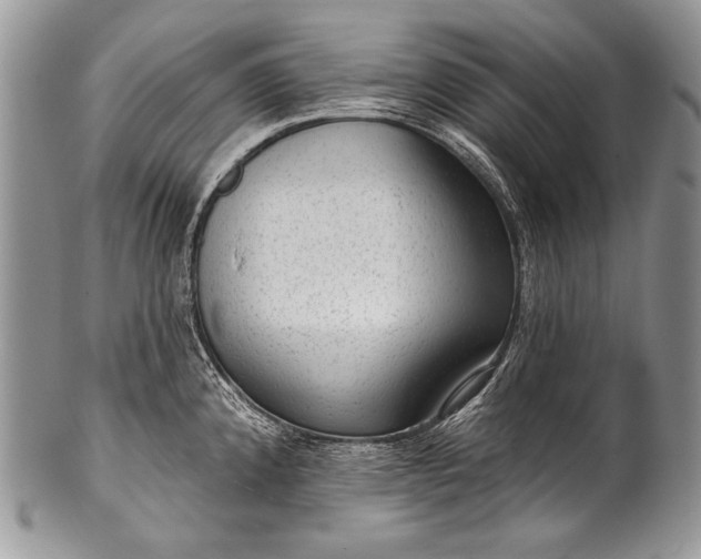 X0000100361192200806201557