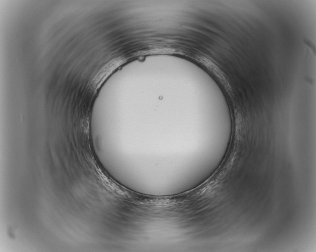 X0000100361193200806201557