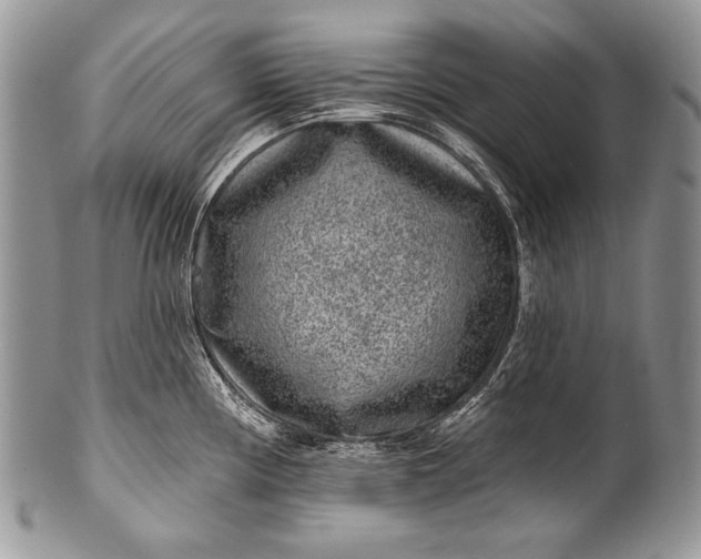 X0000100361194200806201557