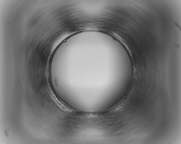 X0000100361195200806201557