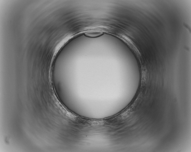 X0000100361196200806201557