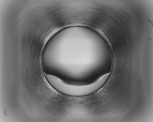 X0000100361197200806201557