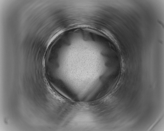 X0000100361198200806201557