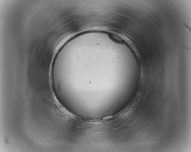 X0000100361199200806201557