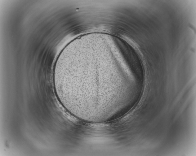 X0000100361200200806201557