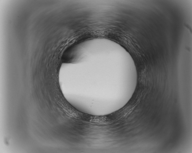 X0000100361201200806201556