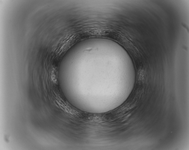 X0000100361202200806201556