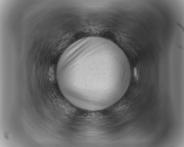 X0000100361203200806201556