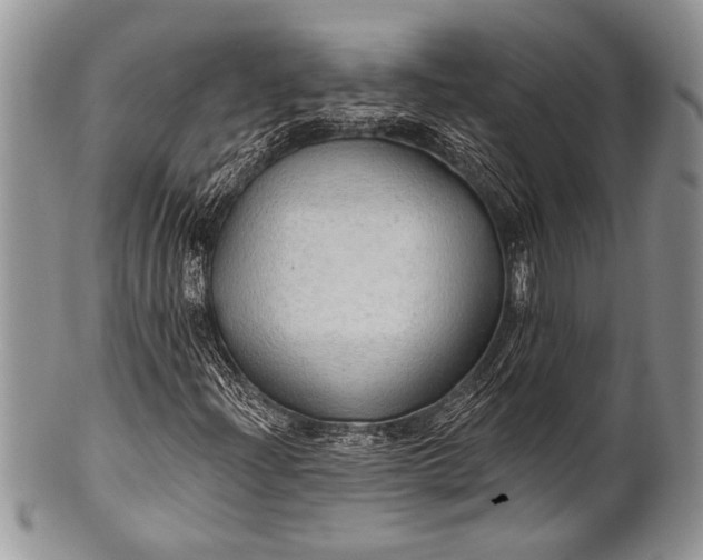 X0000100361204200806201556