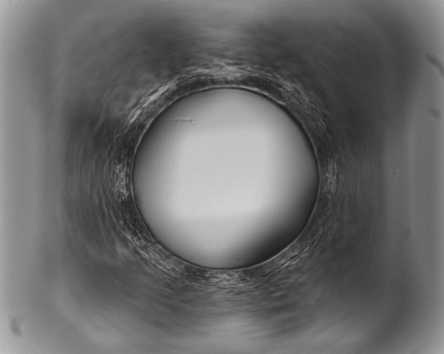 X0000100361205200806201556