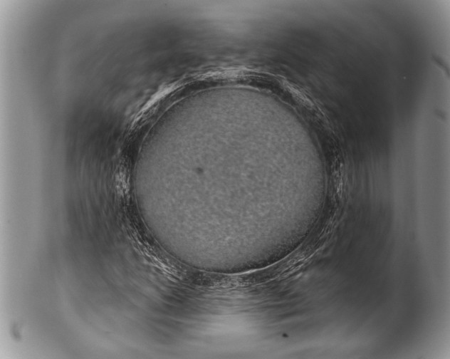 X0000100361206200806201556