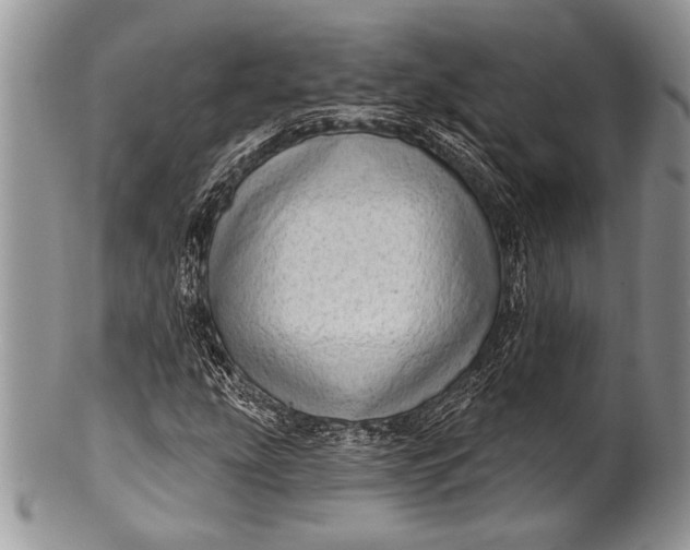 X0000100361207200806201556